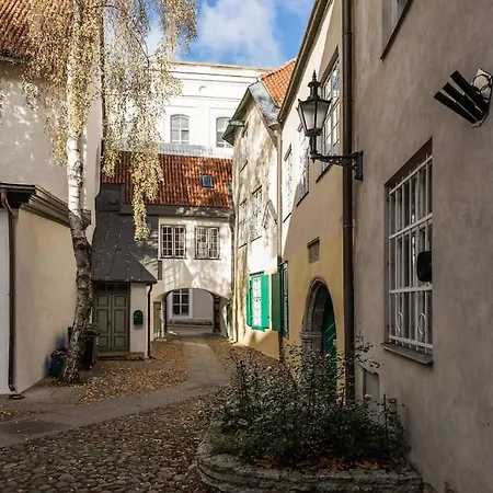 Pueha Vaimu Kuelaliskorter Talin